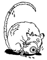 Иллюстрация к книге — Истребители зомби [i_036.jpg]