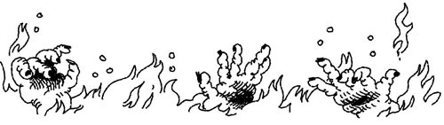 Иллюстрация к книге — Истребители зомби [i_059.jpg]