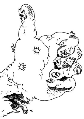 Иллюстрация к книге — Истребители зомби [i_074.jpg]