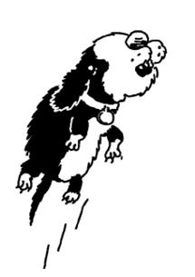 Иллюстрация к книге — Истребители зомби. От винта! [i_069.jpg]