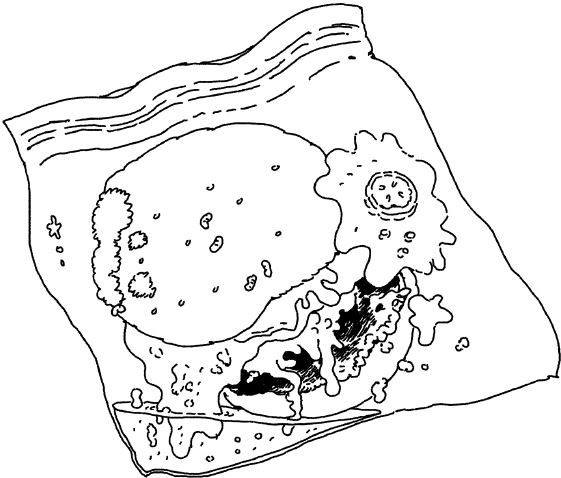 Иллюстрация к книге — Истребители зомби. От винта! [i_094.jpg]