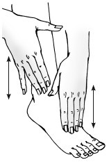 Иллюстрация к книге — Красота и здоровье: Большая энциклопедия [autogen_ebook_id100.jpg]