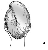 Иллюстрация к книге — Красота и здоровье: Большая энциклопедия [autogen_ebook_id175.jpg]