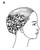 Иллюстрация к книге — Красота и здоровье: Большая энциклопедия [autogen_ebook_id190.jpg]