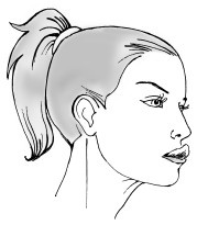 Иллюстрация к книге — Красота и здоровье: Большая энциклопедия [autogen_ebook_id38.jpg]