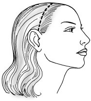 Иллюстрация к книге — Красота и здоровье: Большая энциклопедия [autogen_ebook_id42.jpg]