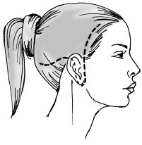 Иллюстрация к книге — Красота и здоровье: Большая энциклопедия [autogen_ebook_id43.jpg]