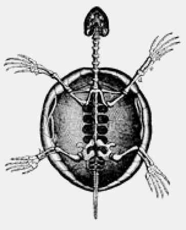 Иллюстрация к книге — Энциклопедия абсолютного и относительного знания [i_004.jpg]
