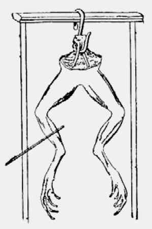 Иллюстрация к книге — Энциклопедия абсолютного и относительного знания [i_013.jpg]