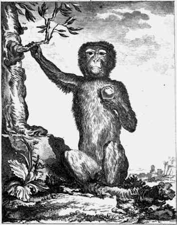 Иллюстрация к книге — Энциклопедия абсолютного и относительного знания [i_024.jpg]