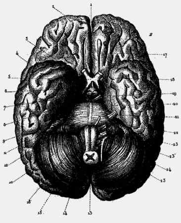 Иллюстрация к книге — Энциклопедия абсолютного и относительного знания [i_034.jpg]