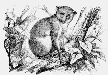 Иллюстрация к книге — Энциклопедия абсолютного и относительного знания [i_056.jpg]