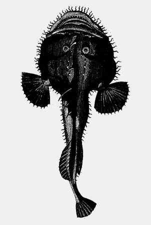 Иллюстрация к книге — Энциклопедия абсолютного и относительного знания [i_067.jpg]