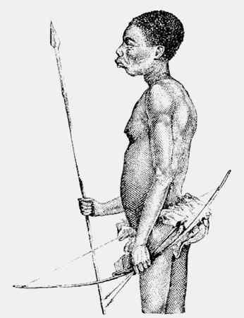 Иллюстрация к книге — Энциклопедия абсолютного и относительного знания [i_071.jpg]