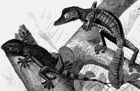 Иллюстрация к книге — Энциклопедия абсолютного и относительного знания [i_073.jpg]