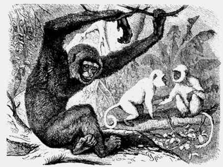 Иллюстрация к книге — Энциклопедия абсолютного и относительного знания [i_076.jpg]