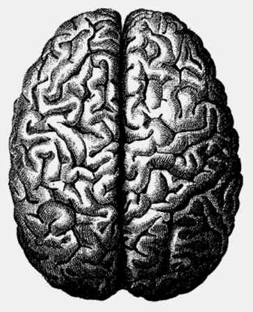 Иллюстрация к книге — Энциклопедия абсолютного и относительного знания [i_111.jpg]