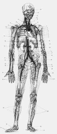 Иллюстрация к книге — Энциклопедия абсолютного и относительного знания [i_154.jpg]