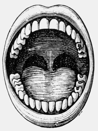 Иллюстрация к книге — Энциклопедия абсолютного и относительного знания [i_156.jpg]