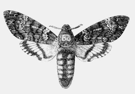 Иллюстрация к книге — Энциклопедия абсолютного и относительного знания [i_159.jpg]