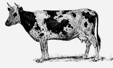 Иллюстрация к книге — Энциклопедия абсолютного и относительного знания [i_194.jpg]