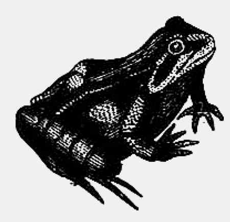 Иллюстрация к книге — Энциклопедия абсолютного и относительного знания [i_201.jpg]