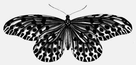 Иллюстрация к книге — Энциклопедия абсолютного и относительного знания [i_216.jpg]