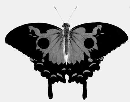 Иллюстрация к книге — Энциклопедия абсолютного и относительного знания [i_239.jpg]