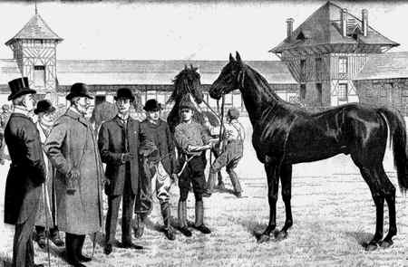 Иллюстрация к книге — Энциклопедия абсолютного и относительного знания [i_240.jpg]