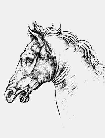 Иллюстрация к книге — Энциклопедия абсолютного и относительного знания [i_241.jpg]