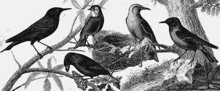 Иллюстрация к книге — Энциклопедия абсолютного и относительного знания [i_246.jpg]