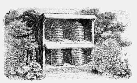 Иллюстрация к книге — Энциклопедия абсолютного и относительного знания [i_250.jpg]