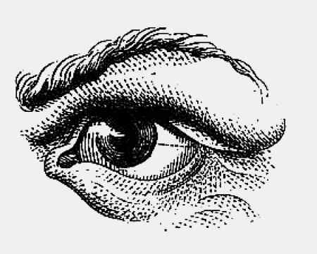 Иллюстрация к книге — Энциклопедия абсолютного и относительного знания [i_260.jpg]