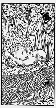 Иллюстрация к книге — Энциклопедия абсолютного и относительного знания [i_263.jpg]