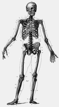 Иллюстрация к книге — Энциклопедия абсолютного и относительного знания [i_280.jpg]