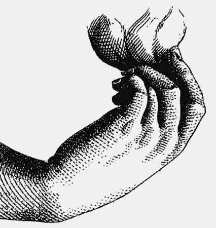 Иллюстрация к книге — Энциклопедия абсолютного и относительного знания [i_291.jpg]