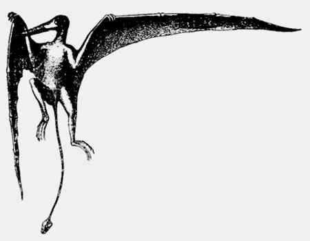 Иллюстрация к книге — Энциклопедия абсолютного и относительного знания [i_300.jpg]