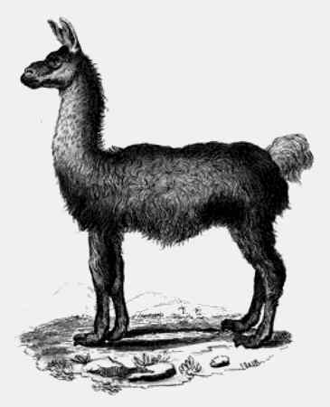 Иллюстрация к книге — Энциклопедия абсолютного и относительного знания [i_310.jpg]