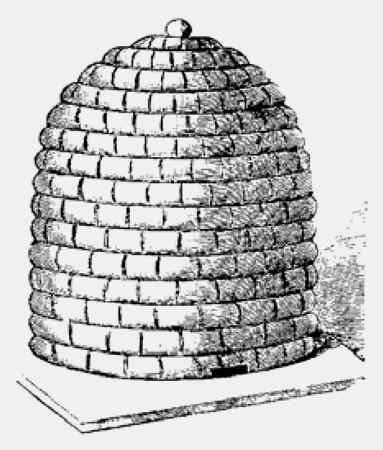 Иллюстрация к книге — Энциклопедия абсолютного и относительного знания [i_317.jpg]