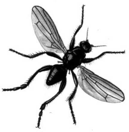 Иллюстрация к книге — Энциклопедия абсолютного и относительного знания [i_320.jpg]