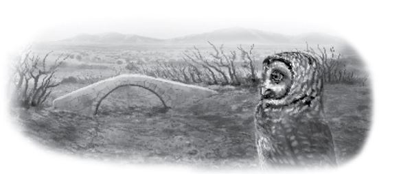 Иллюстрация к книге — Тлеющий камень [i_010.jpg]