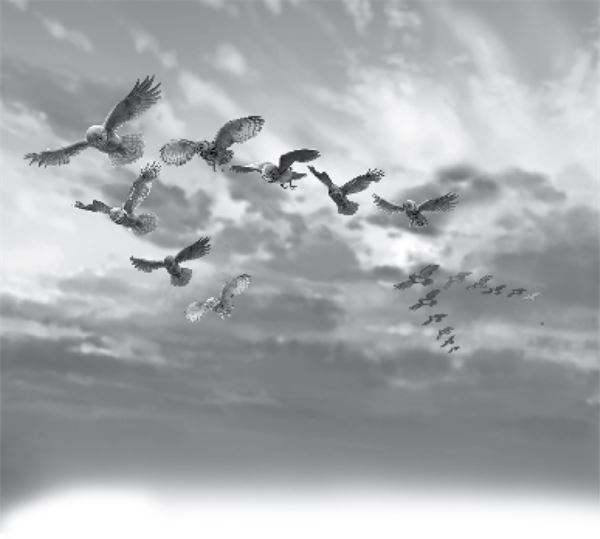 Иллюстрация к книге — Тлеющий камень [i_039.jpg]