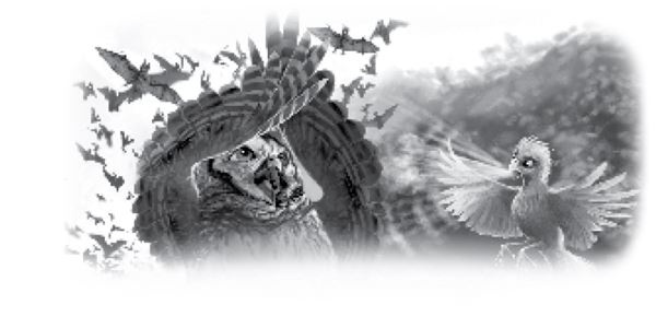 Иллюстрация к книге — Тлеющий камень [i_044.jpg]