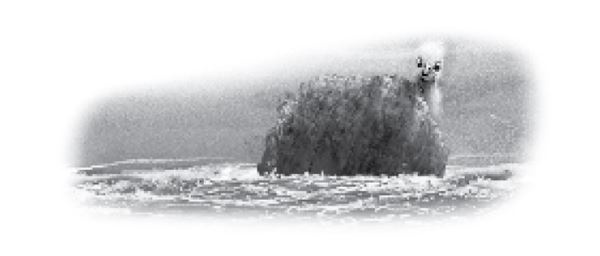 Иллюстрация к книге — Тлеющий камень [i_063.jpg]