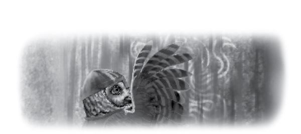 Иллюстрация к книге — Тлеющий камень [i_076.jpg]