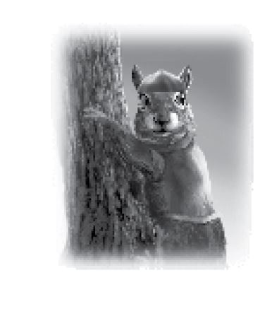 Иллюстрация к книге — Тлеющий камень [i_080.jpg]