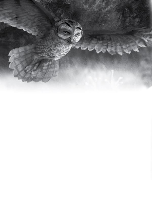 Иллюстрация к книге — Тлеющий камень [i_084.jpg]