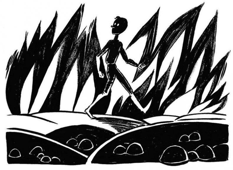 Иллюстрация к книге — Мрачные сказки братьев Гримм [i_007.jpg]