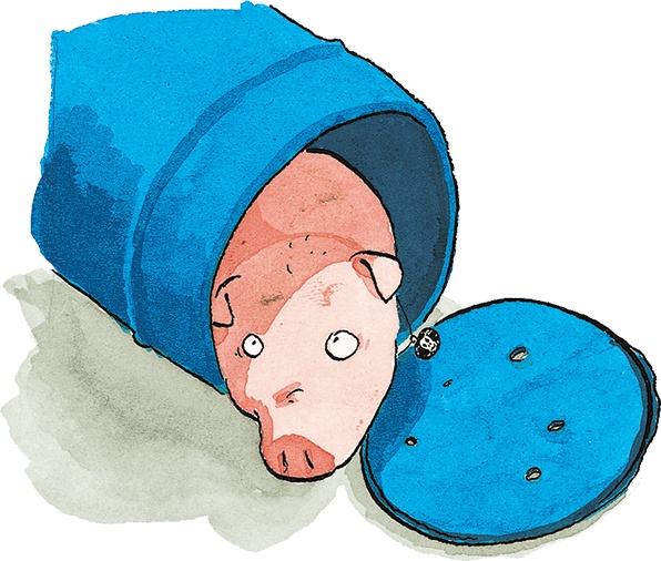 Иллюстрация к книге — Свинья для пиратов [i_016.jpg]