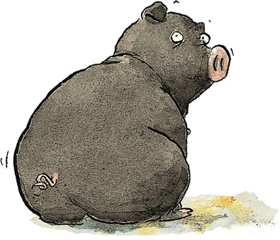 Иллюстрация к книге — Свинья для пиратов [i_045.jpg]